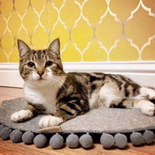 Tabby Cat On Saveplace Round Grey Wool Cat Mat Pet Bed 