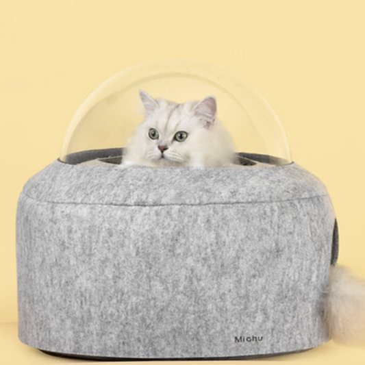 White Persian Cat Sitting Inside Grey Coloured Space Capsule Cat Pet Bed.